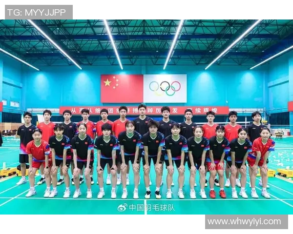 南京羽毛球队在挑战赛中的比赛经验与表现分析与点评