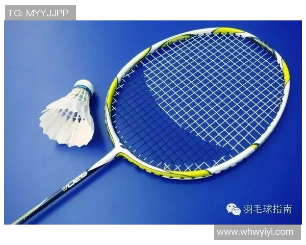 北京羽毛球队战术解析：从技术细节到团队协作的全面探讨