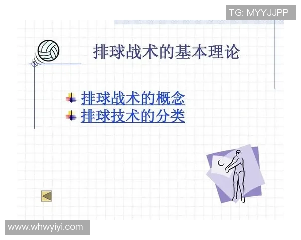 武汉排球队速度对比深度解析与战术影响探讨