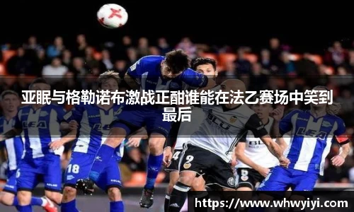 米兰体育官网