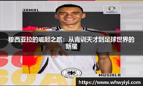 米兰体育官网