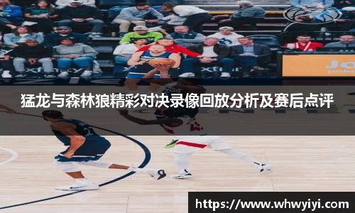猛龙与森林狼精彩对决录像回放分析及赛后点评
